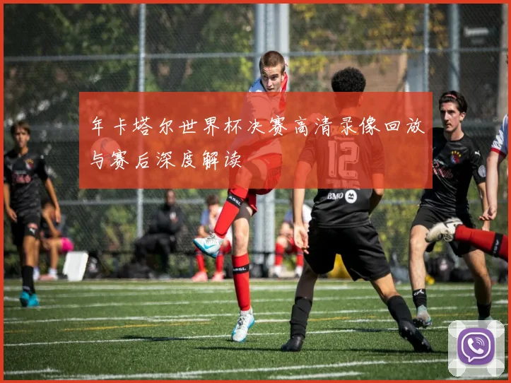 年卡塔尔世界杯决赛高清录像回放与赛后深度解读