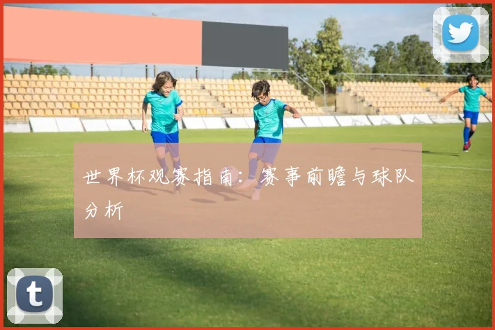 世界杯观赛指南：赛事前瞻与球队分析