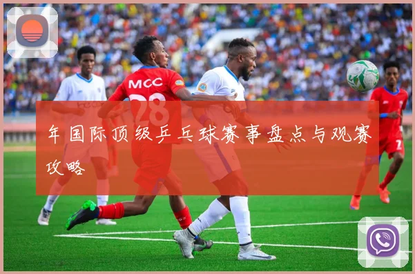 年国际顶级乒乓球赛事盘点与观赛攻略